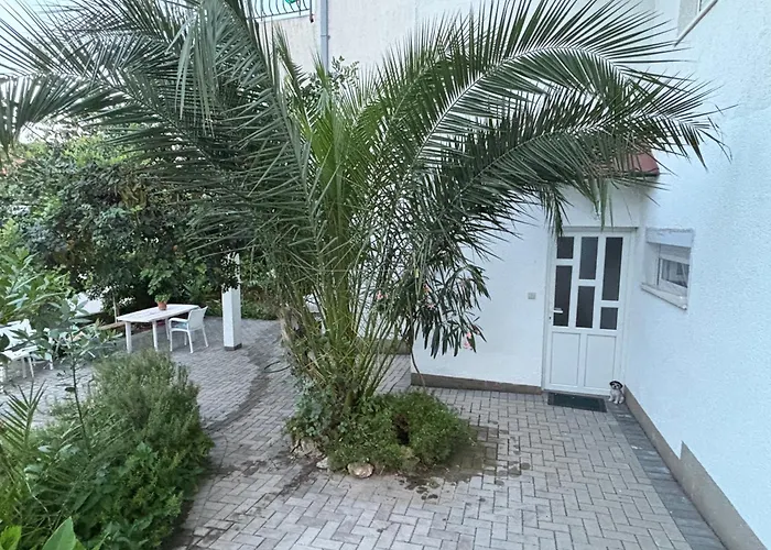 Apartments Simic