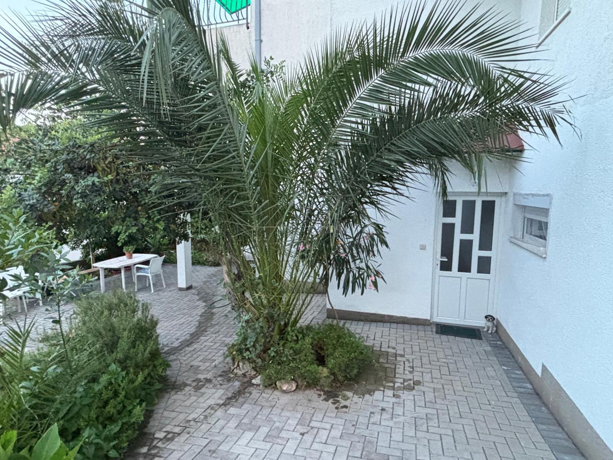 Simic Apartma